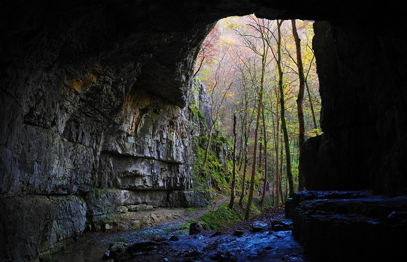 Foto: Hans Braxmeier, pixabay.com