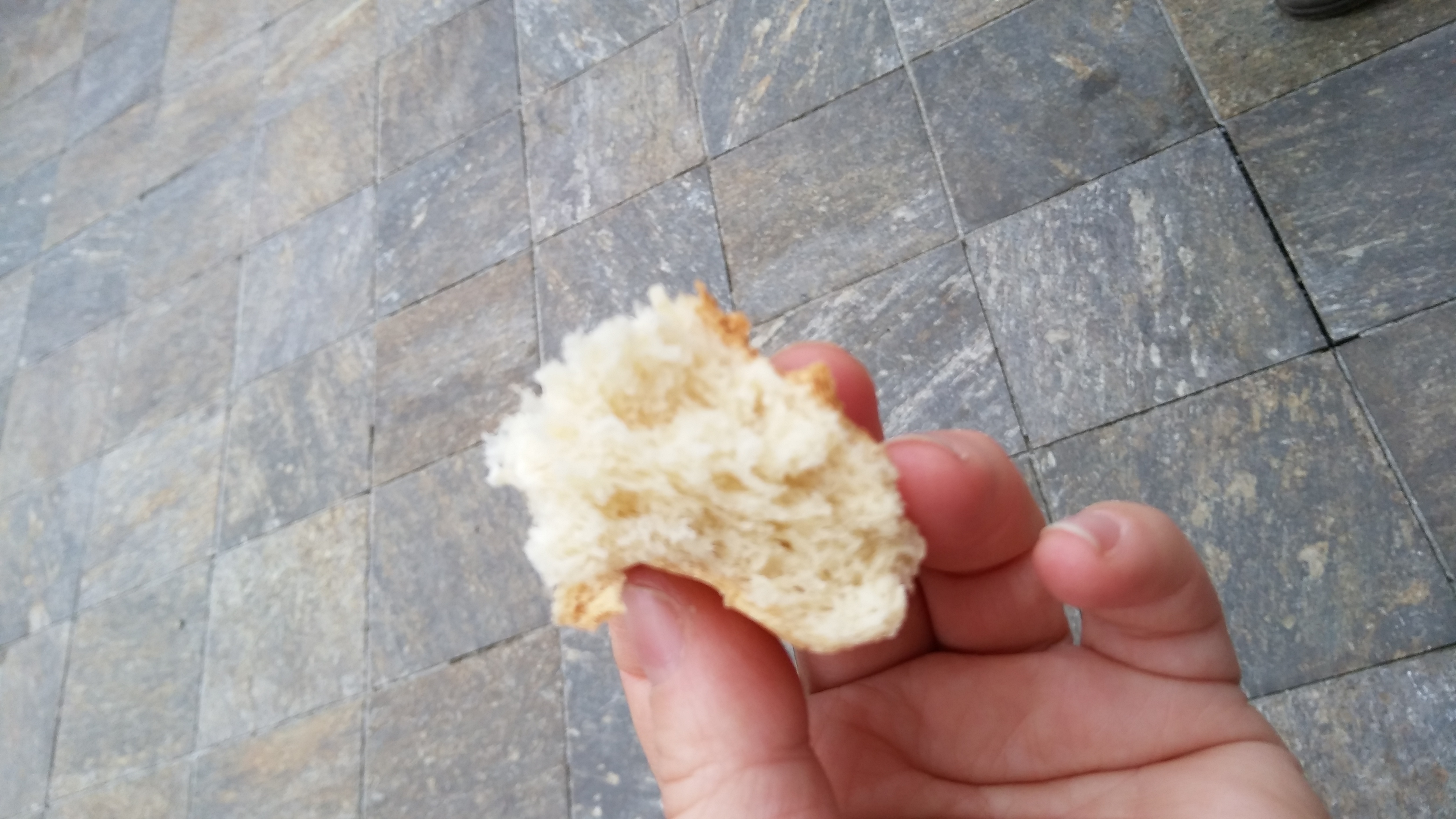 Brot brechen / Verwüster Elisabeth