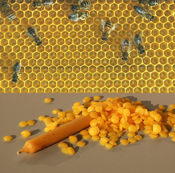 flickr/Rudolf Schäfer